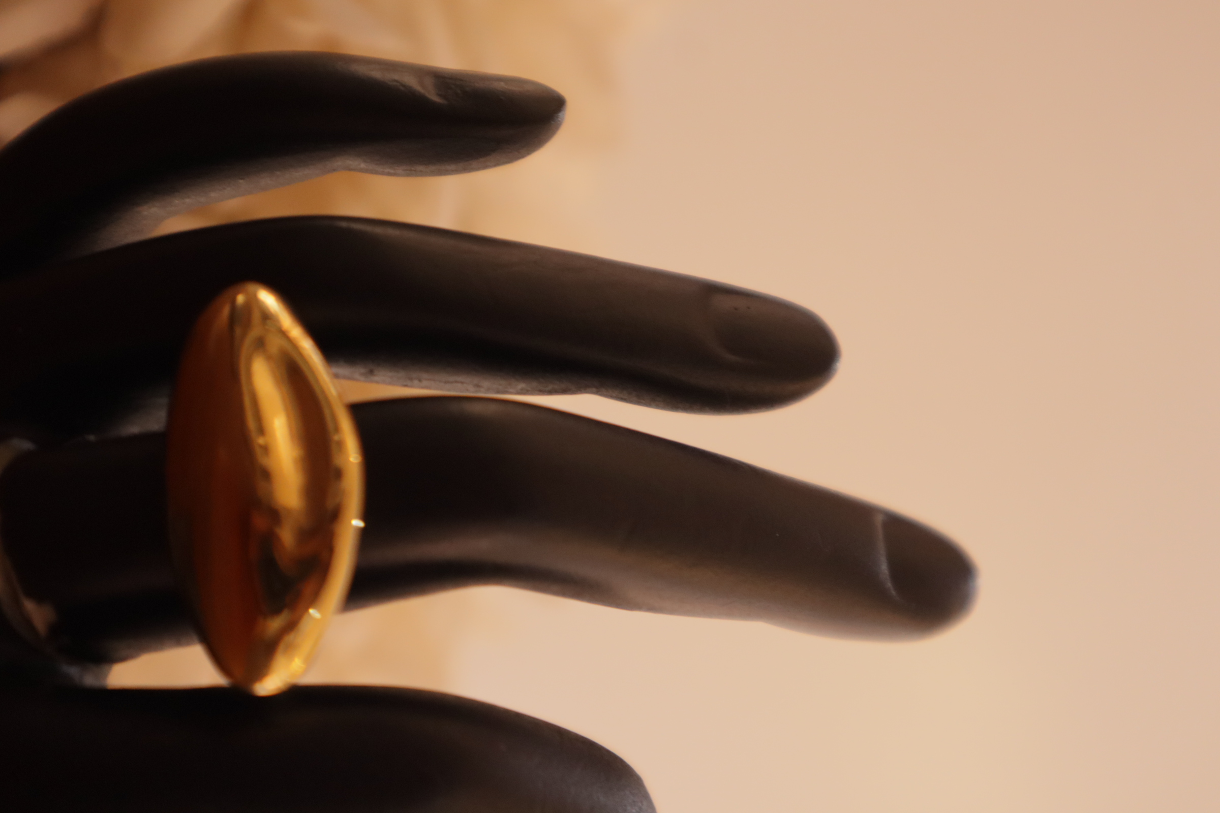 Hannah Ring - Model view